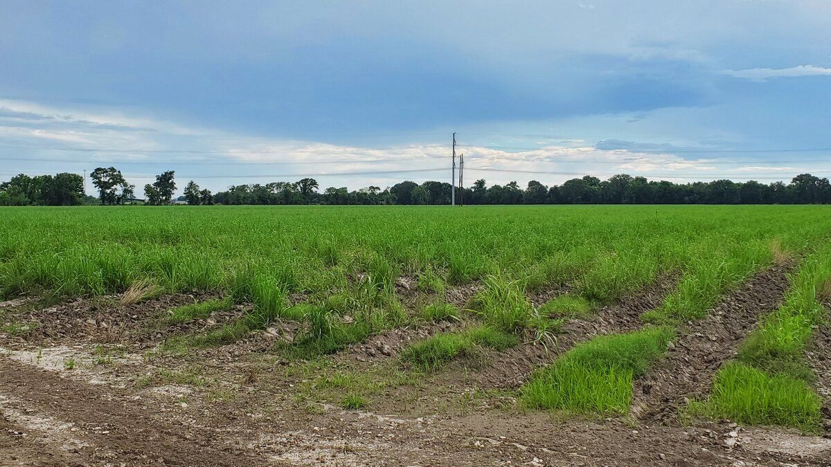 W Hwy 90 Frontage Rd, New Iberia, LA 70560